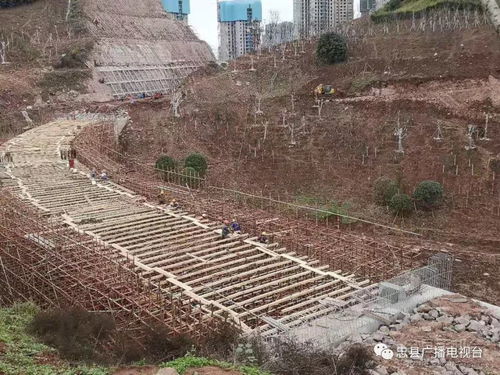 白公片区市政道路工程加快推进,部分桥梁施工紧张中