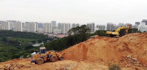总投资约3亿元 东海片区这四条市政道路工程顺利开工
